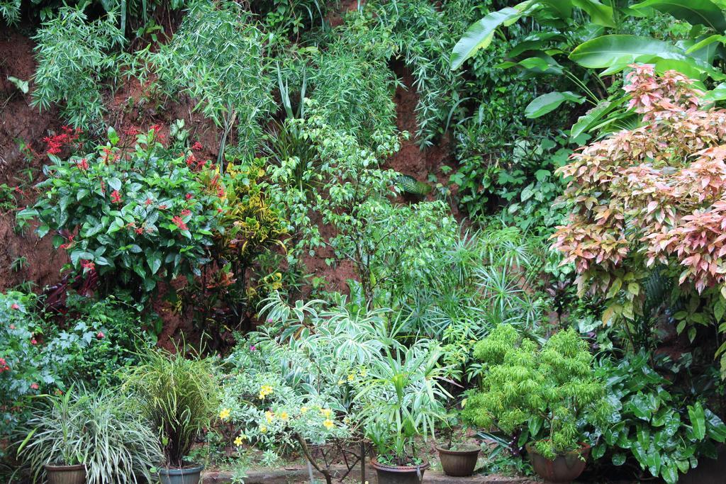 Anniewatte House Kandy Exterior foto